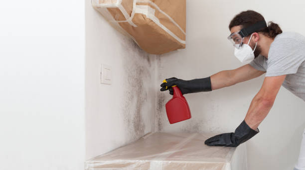 Professional Crawl Space Mold Remediation technician working in Springfield, MI
