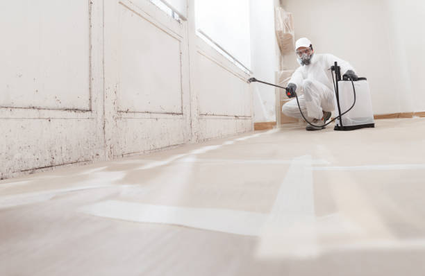 24/7 Emergency Crawl Space Mold Remediation experts in Springfield, MI