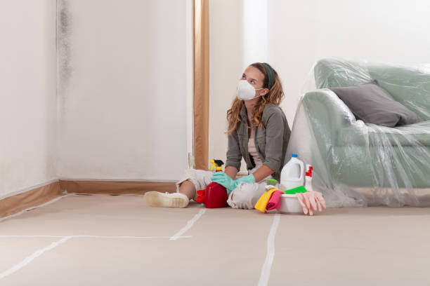 Reliable Crawl Space Mold Remediation contractor in Springfield, MI by Car Mold Remediation